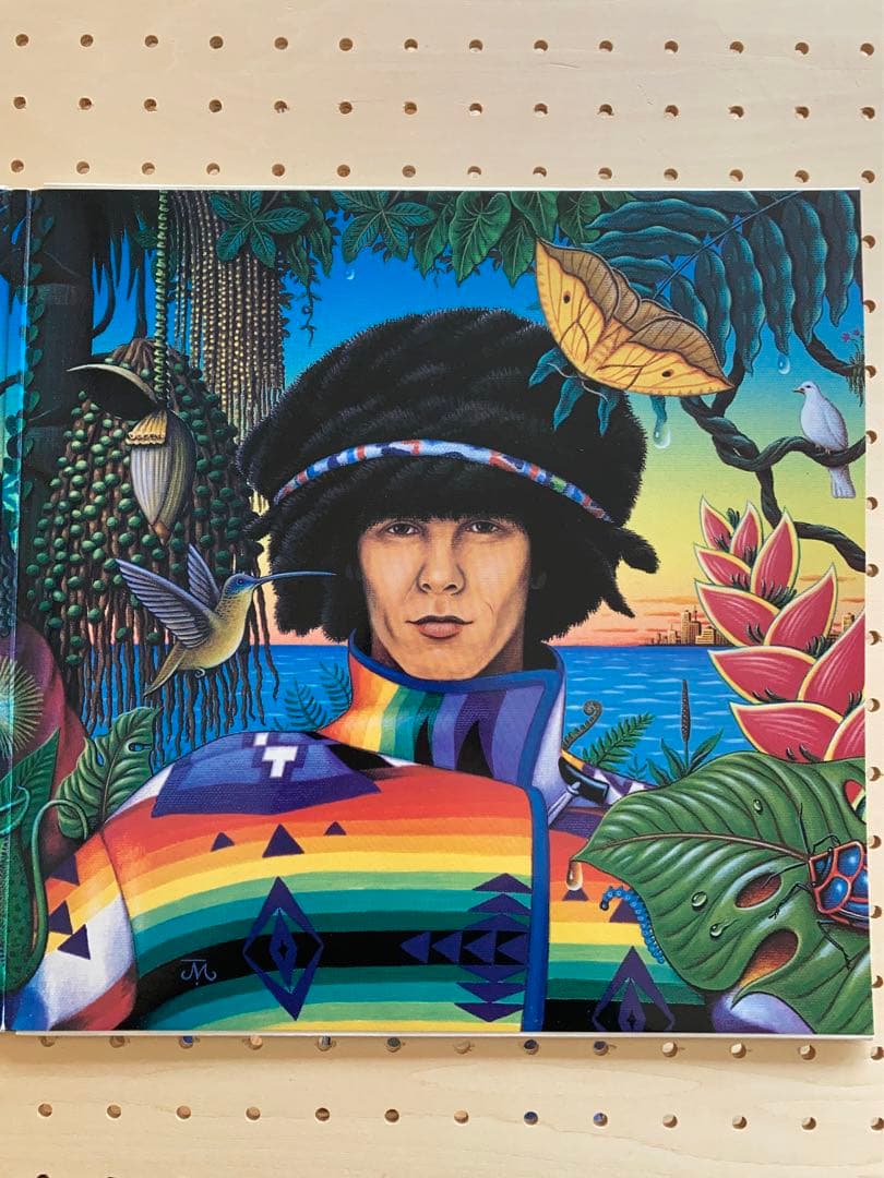 洋楽 jamiroquai Emergency On Planet Earth LP