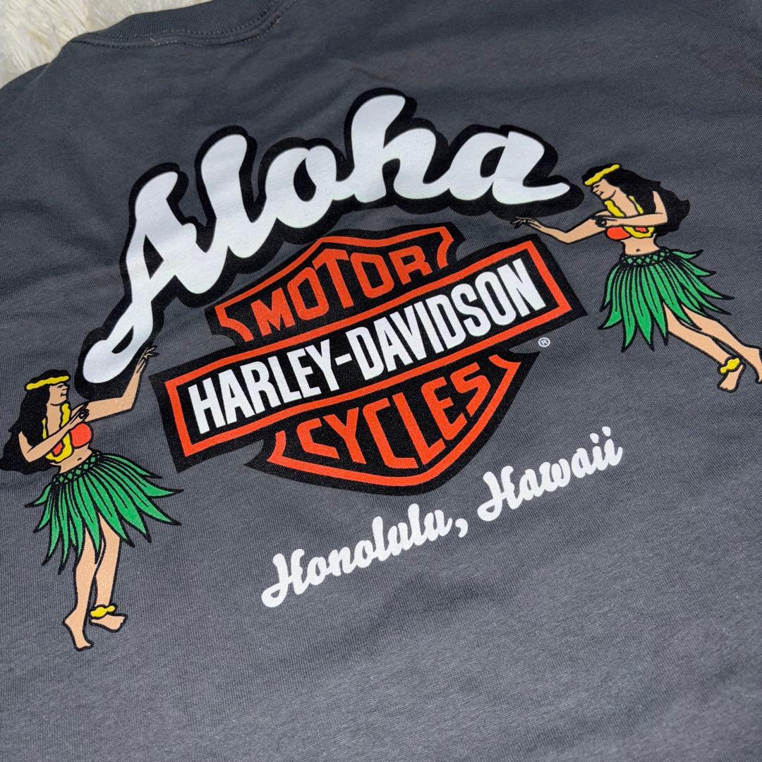 ハワイ限定 ハーレーダビッドソン メンズTシャツ 新品未使用 希少XL