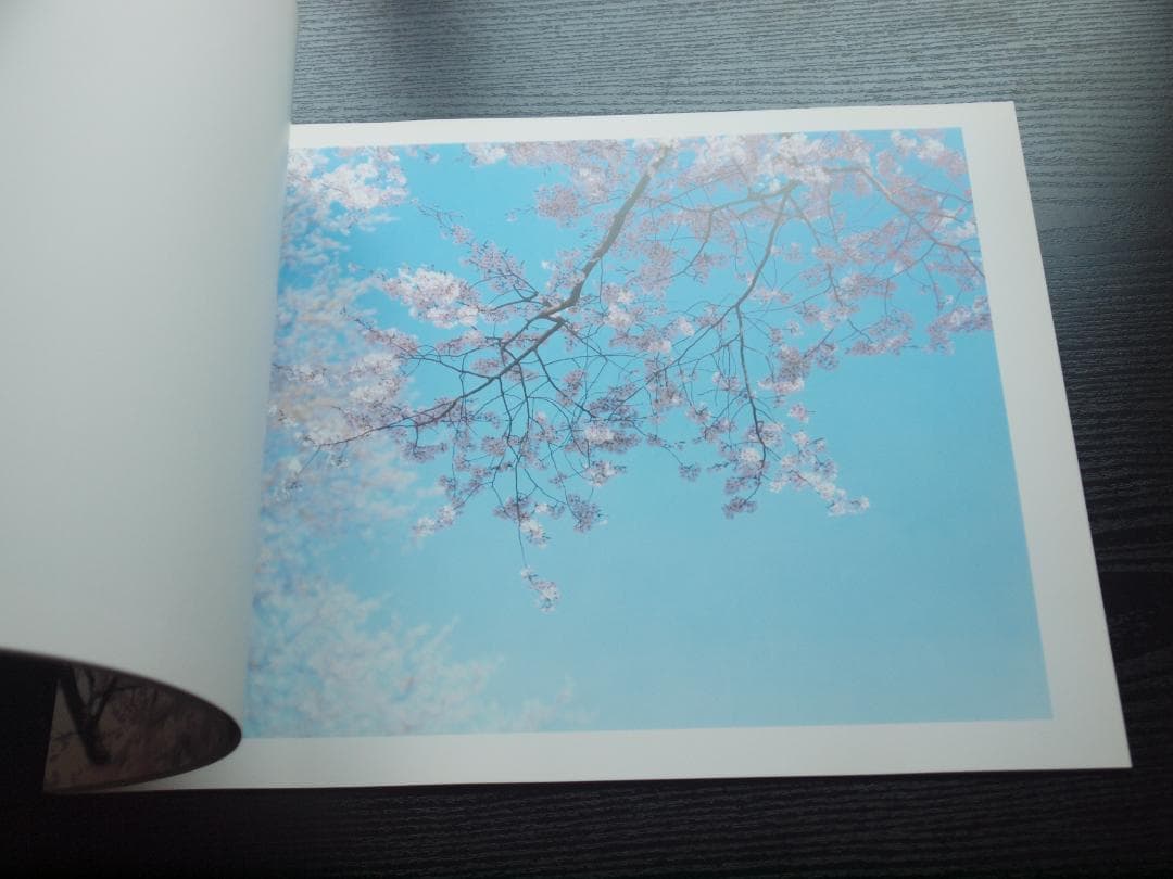 鈴木理策　桜　Yoshii Gallery　大判　サイン入り