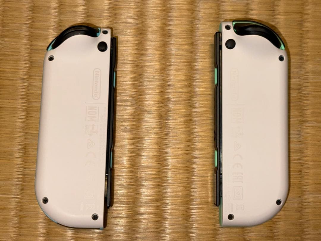 Nintendo Switch 本体 あつまれどうぶつの森セット＋ソフトおまけ