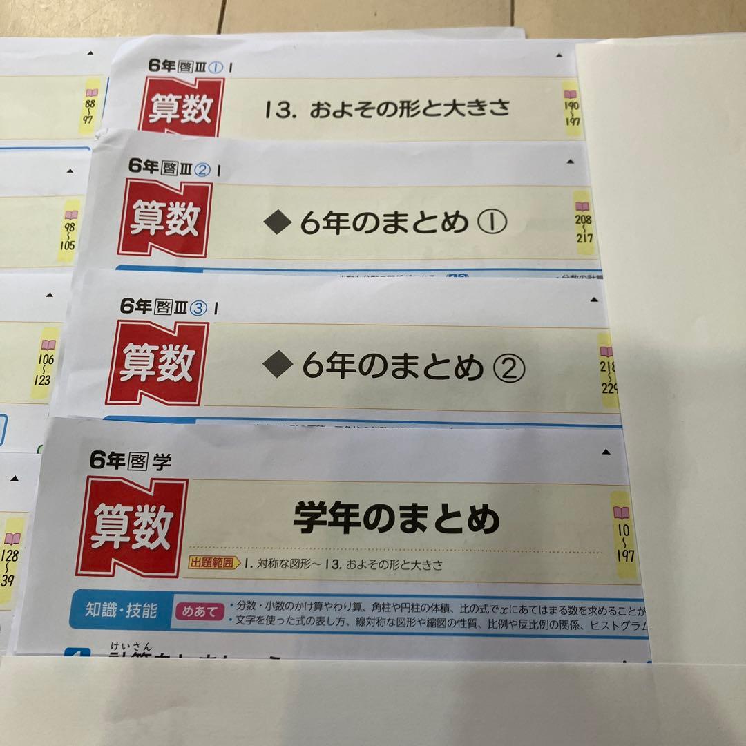 小6算数　令和6年度カラーテスト　Nぶんけい啓林館2024〜2025、合計20枚