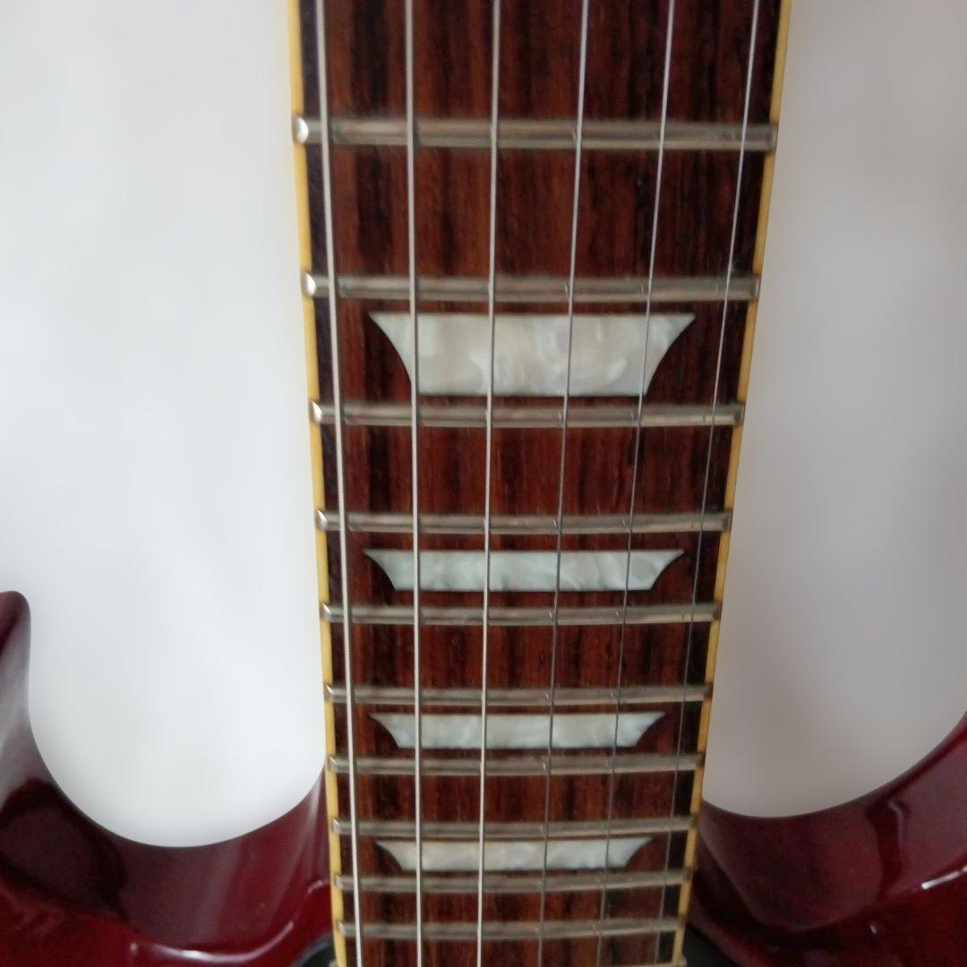 Burny SG 【値引き不可?】