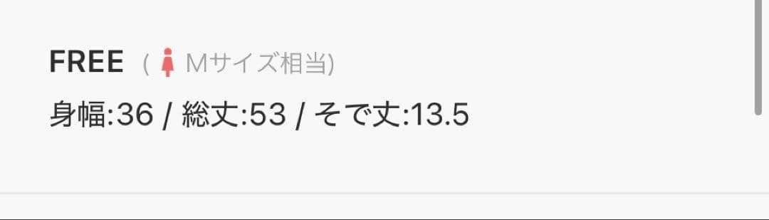 未使用タグ付き　ヒスチビT イエロー　9/29迄