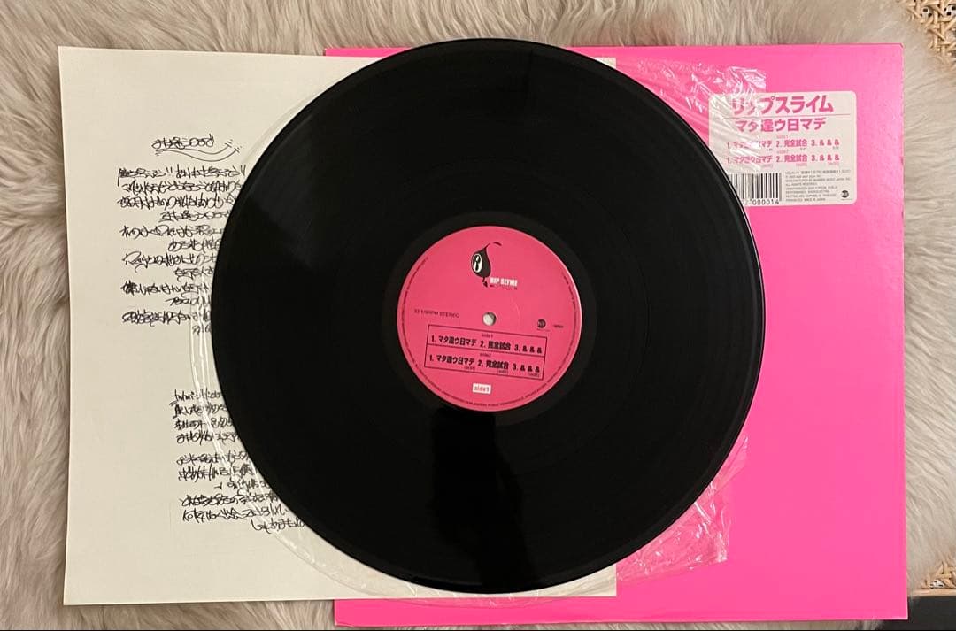 【レア美盤】RIP SLYME /マタ逢ウ日マデ 12inch レコード