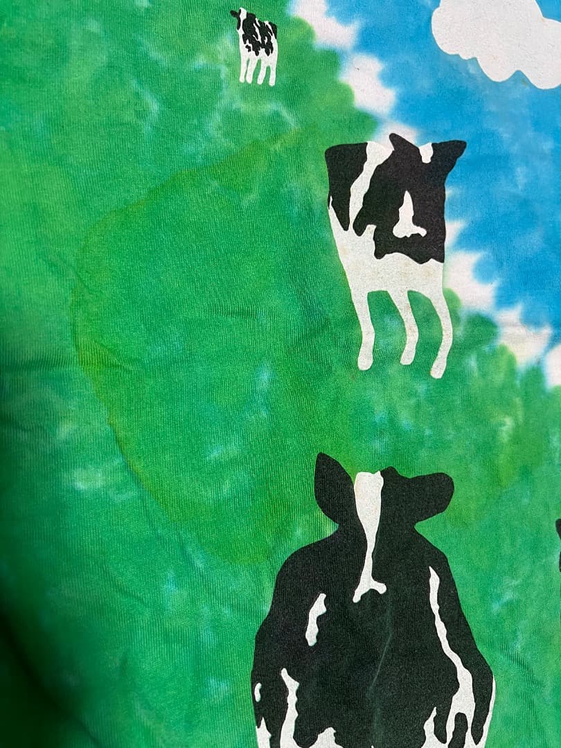 BEN&JERRY'S Tシャツ XXL ヴィンテージ　USA