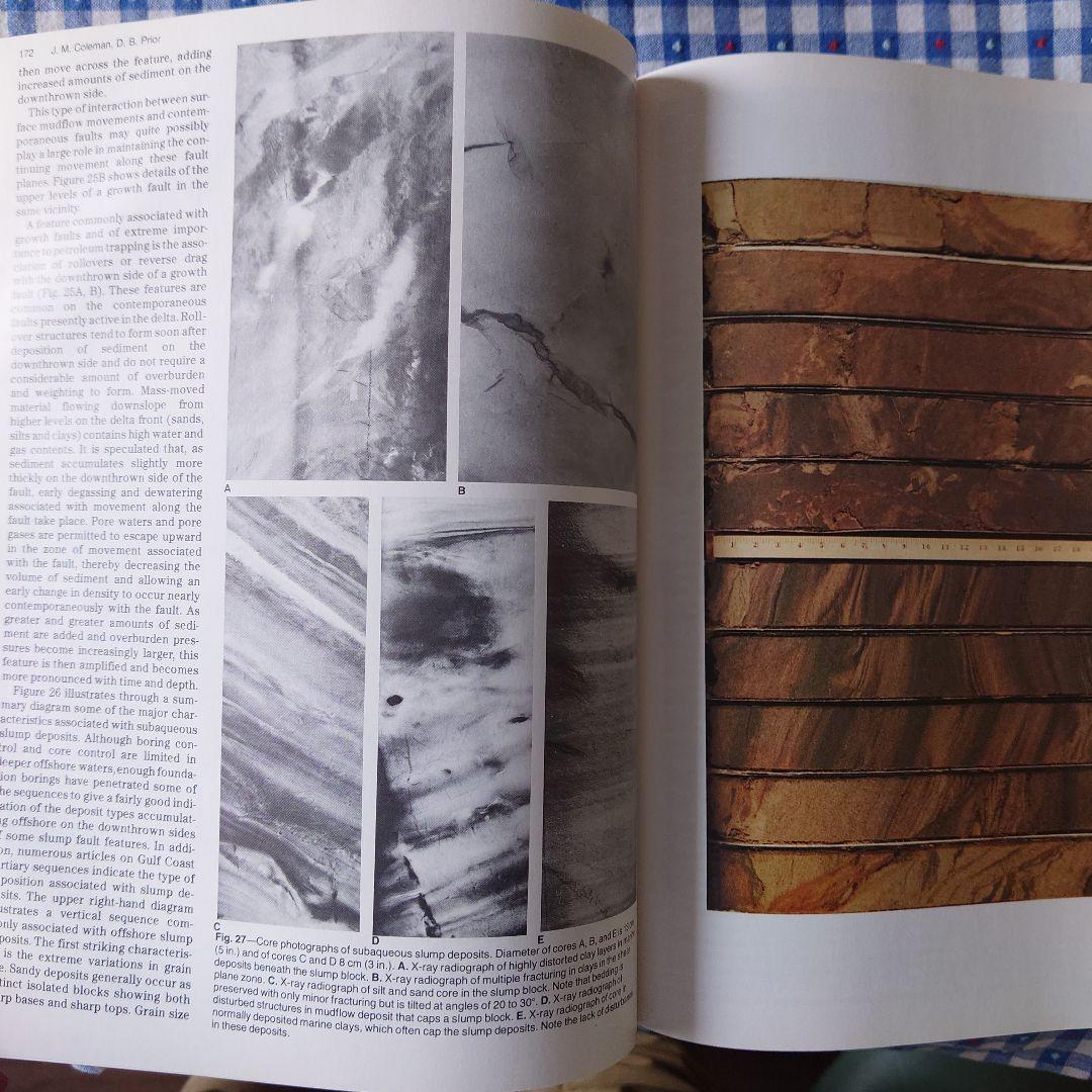 Sandstone Depositional Environments洋書