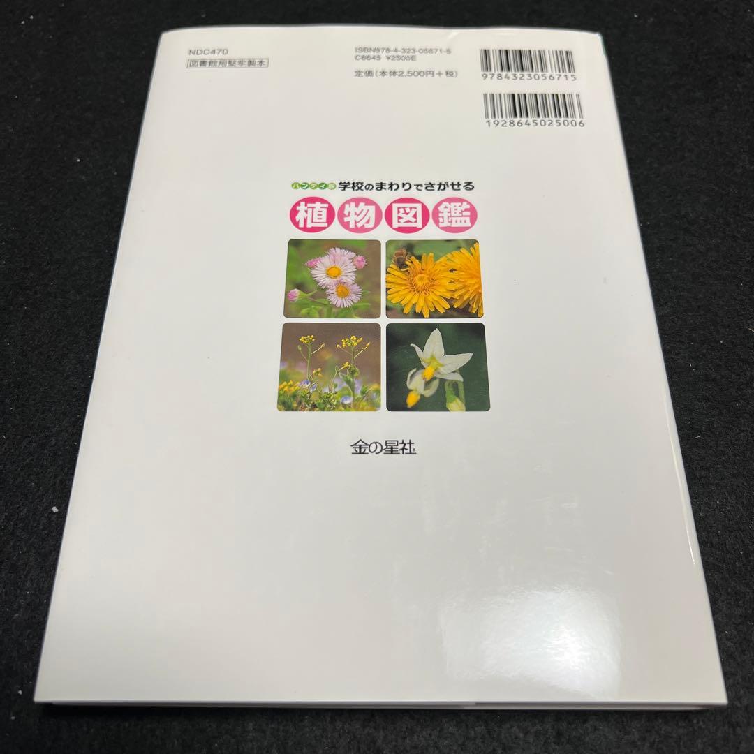 学校のまわりでさがせる植物図鑑 ハンディ版 春 夏 秋冬 樹木 全4冊セット