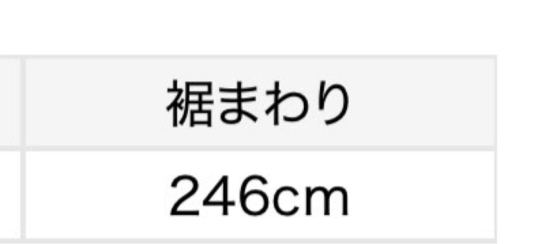 【SNIDEL】 ラッフルフリルティアードスカート IV 0号