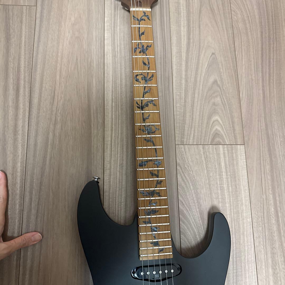 【しおにゃん】ibanez Premium AZ226-BKF