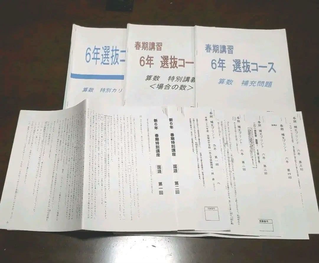 2020年 日能研　6年生　テキスト　プリント　小テスト等全て