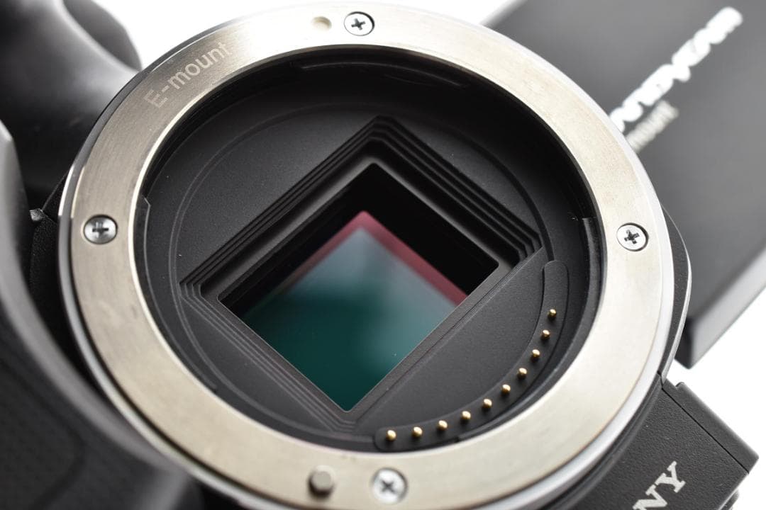 ★極美品★ソニー SONY NEX-VG10 ボディ #1774