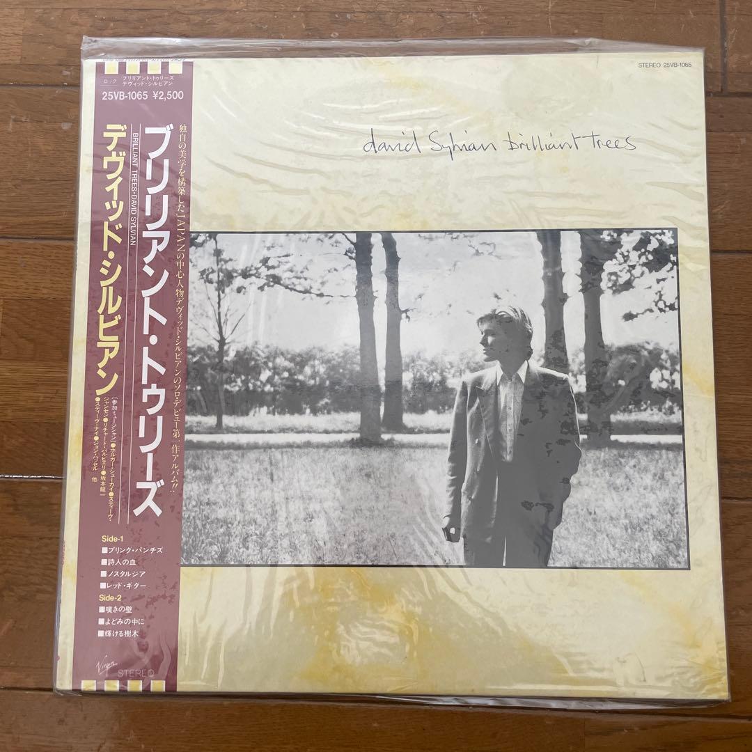 デヴィッド・シルヴィアン David Sylvian レコードセット