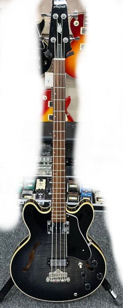 Aria ProⅡ アリアプロ２　型番不明 Epiphone Rivoliモデル