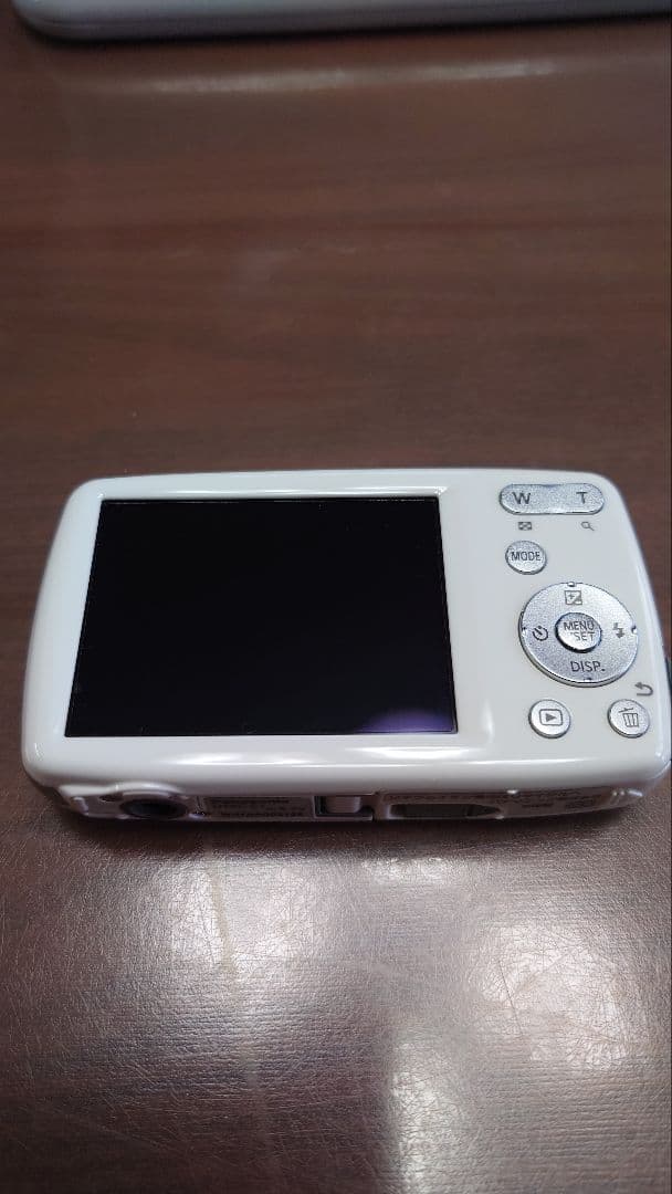 Panasonic LUMIX S1 （中古品）