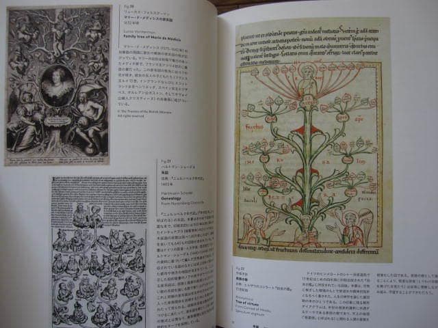 THE BOOK OF TREES 系統樹大全　帯付き　ハードカバー版