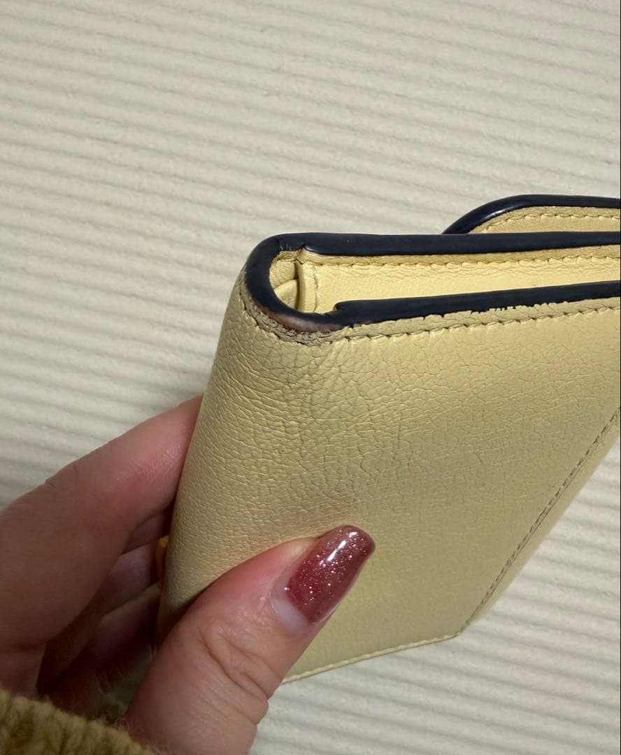 dior SADDLE ロータスウォレット
