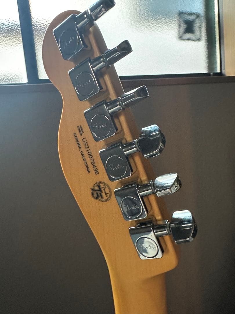 fender アメリカン プロフェッショナル2 テレキャスター