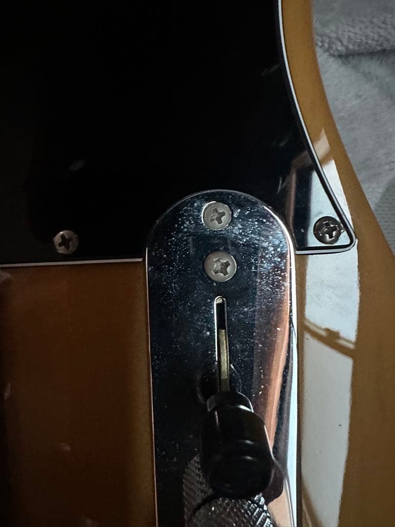 fender アメリカン プロフェッショナル2 テレキャスター