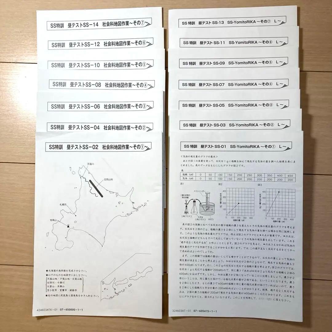 2025年2月終了　SS開成　理科,社会セット