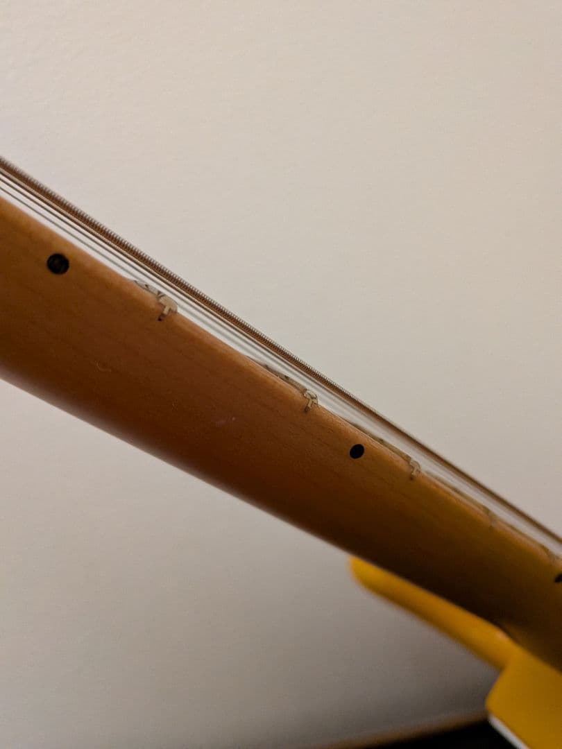 ギター Fender Player Plus Stratocaster