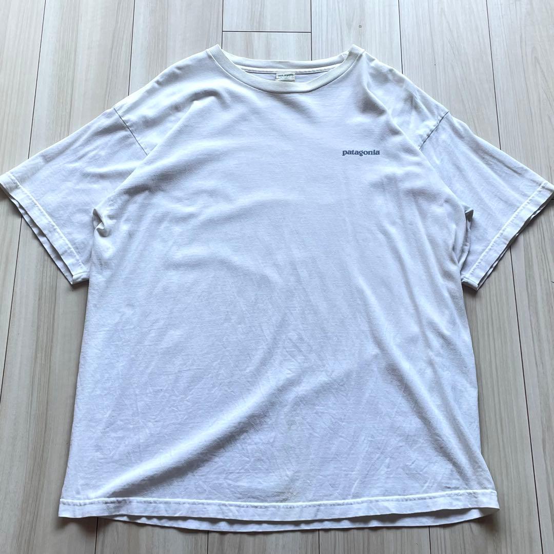 レアな北斎プリント！90s パタゴニア Beneficial T’s Lサイズ