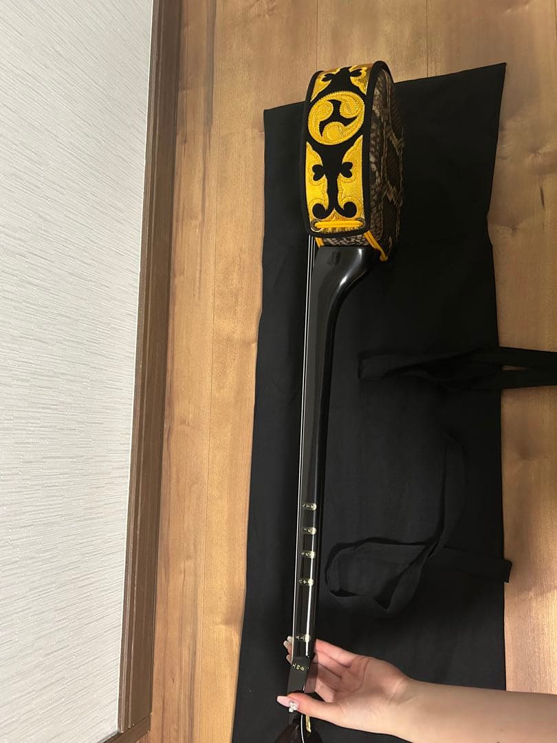 三線 （一本弦が切れてます）専用カバー付き
