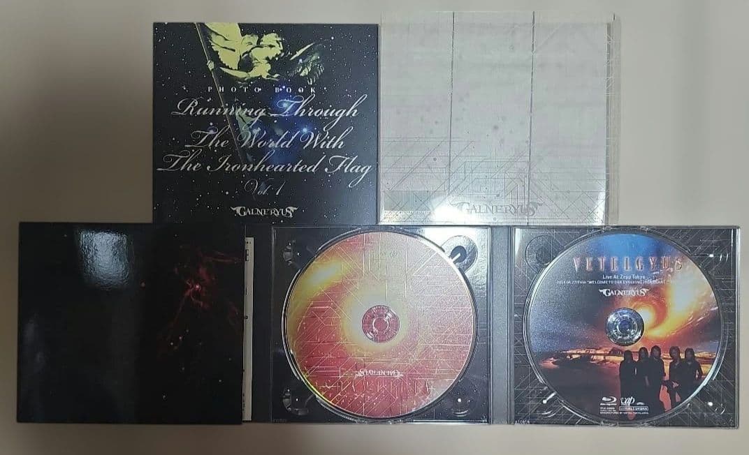 ガルネリウス//CD10枚+DVD3枚セット(ワンオーナー品)