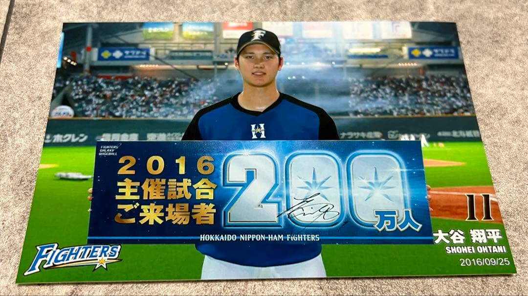 大谷翔平 日本ハムファイターズ 球団公式オフィシャルフォト 5枚セット