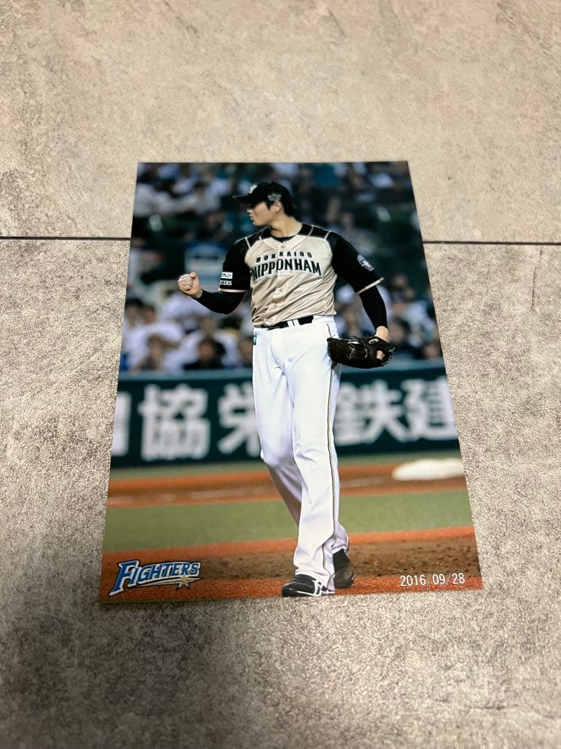 大谷翔平 日本ハムファイターズ 球団公式オフィシャルフォト 5枚セット