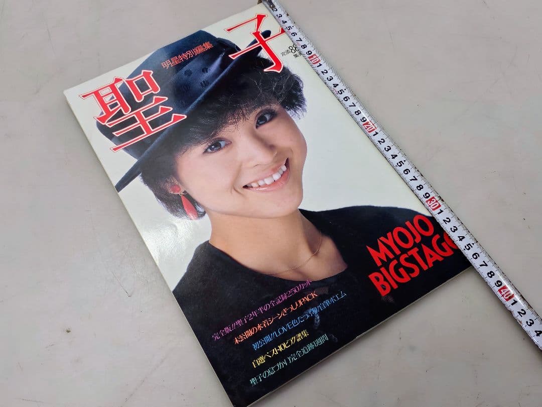 昭和57年 明星特別編集 松田聖子B4写真集～折込ポスター 全記録250カット