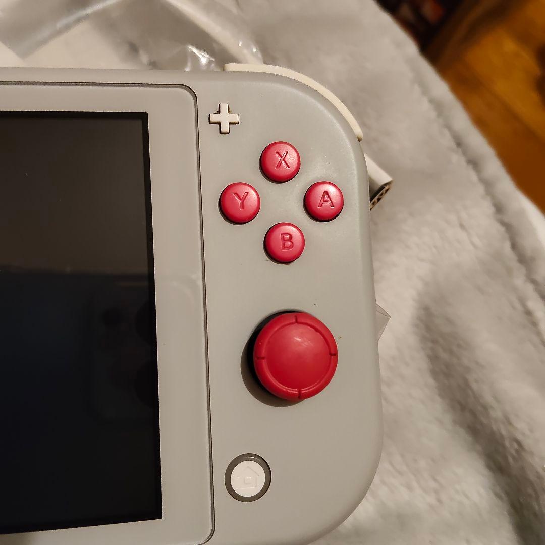 ポケモン ザシアン・ザマゼンタ Nintendo Switch Lite