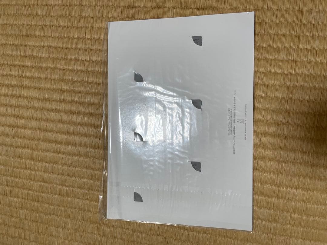NEON GENESIS EVANGELION DVD BOX 特典付き
