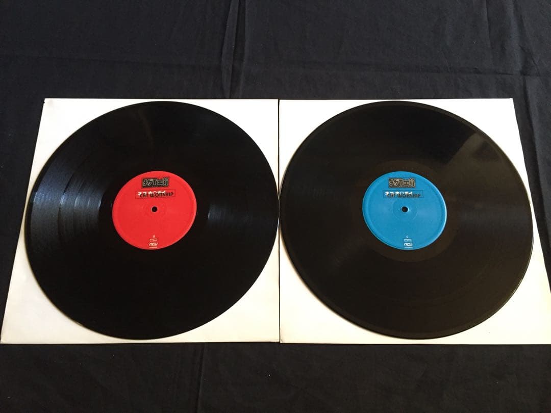 ★ Nagai Eri / Cat Worship 2LP★[QZJN6]