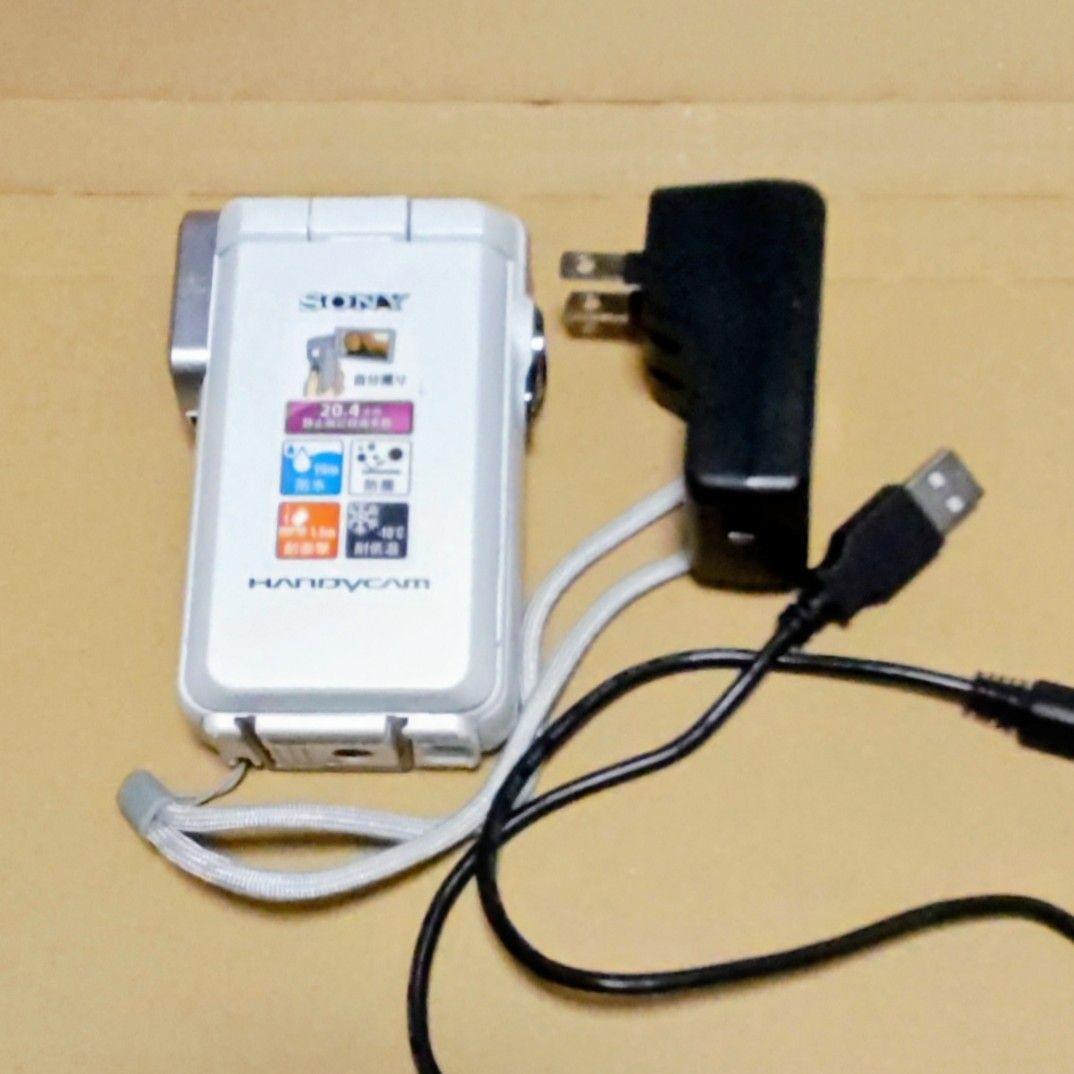 SONY HDR-GW66 ビデオカメラ 本体