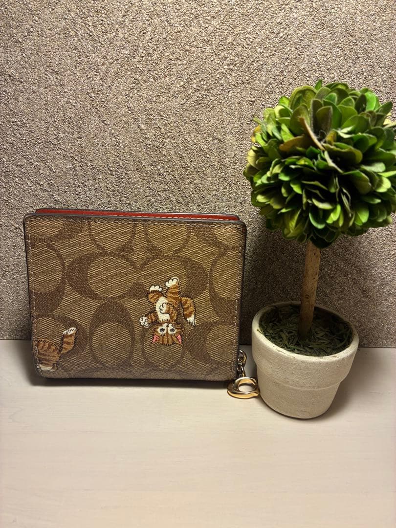 【希少】 Coach 猫二つ折り財布　ダンシング キトゥン　猫　シグネチャー