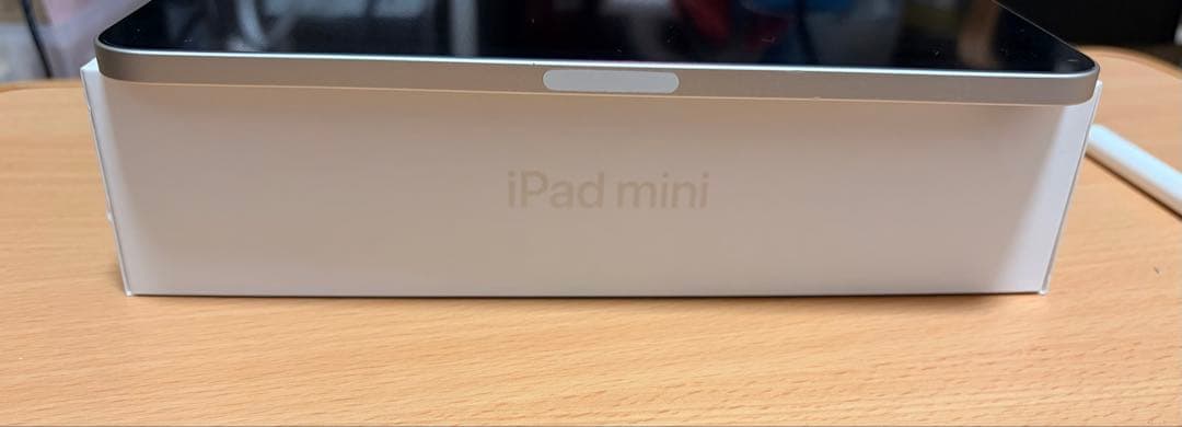 Apple iPadmini 6 256GB 本体 Apple pencil付