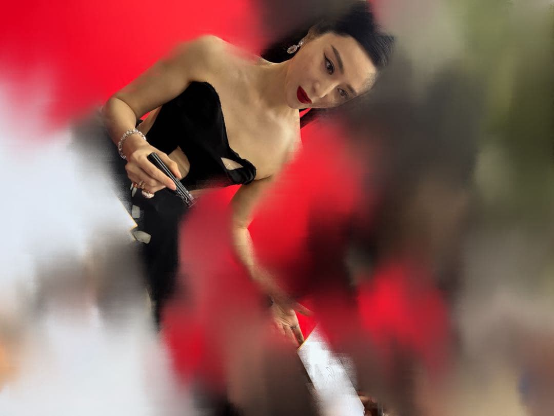 中国 女優 ファン・ビンビン 范冰冰 直筆サイン色紙 証拠あり 東京国際映画祭