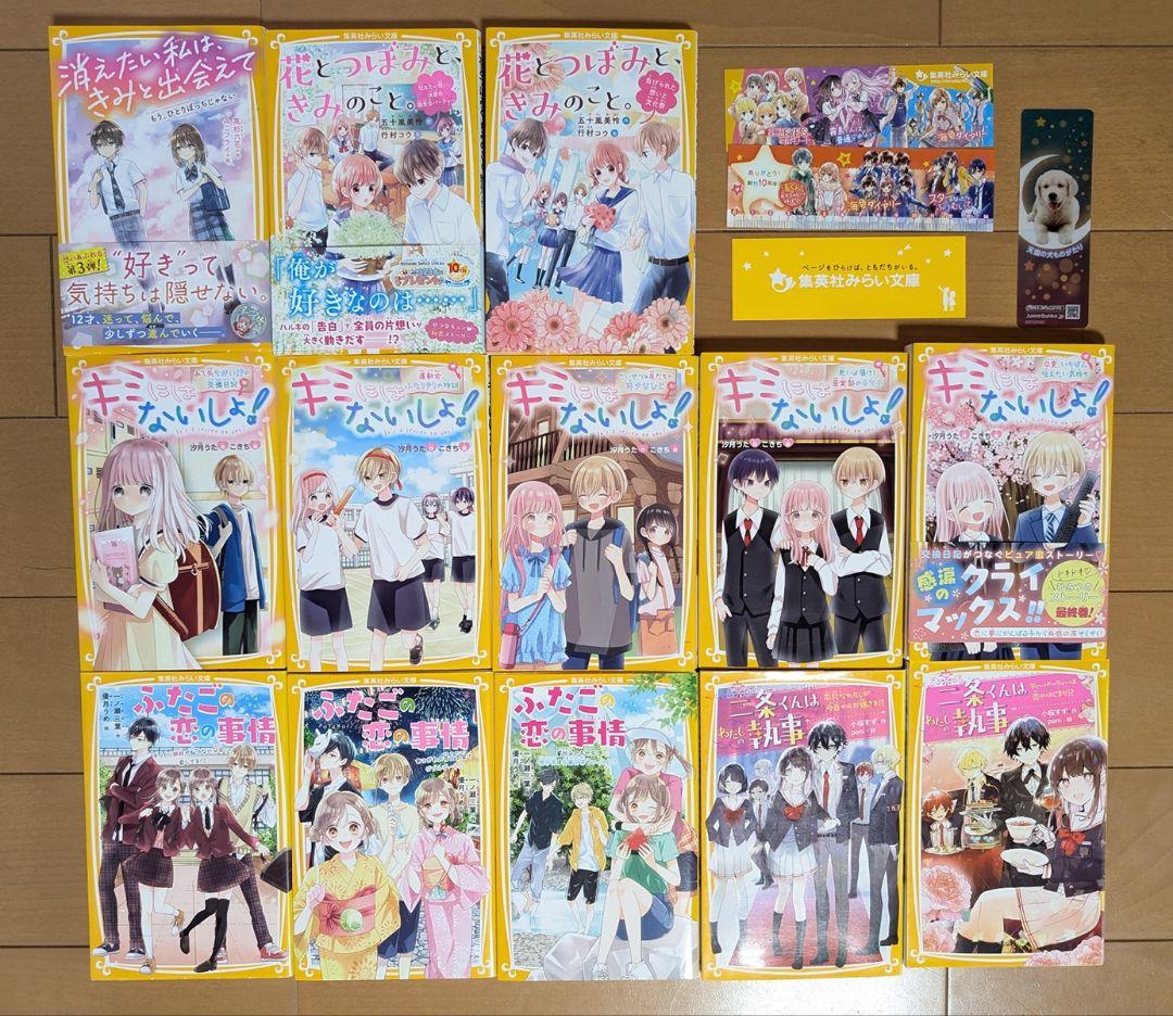キミにはないしょ！絶対好きにならない同盟 時間割男子 スターツ文庫 27冊
