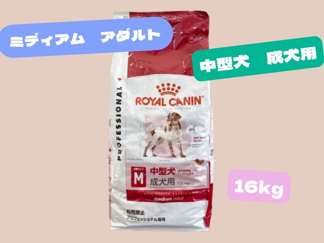 のりっぺ