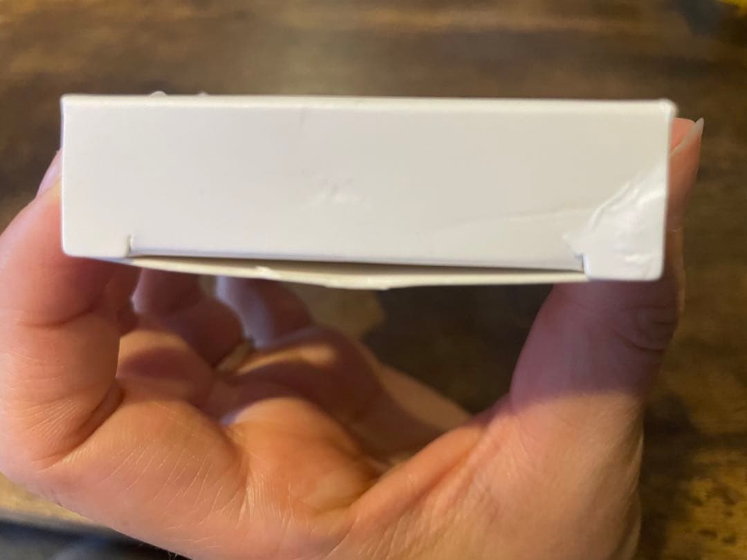 iPad専用ペン　viangs