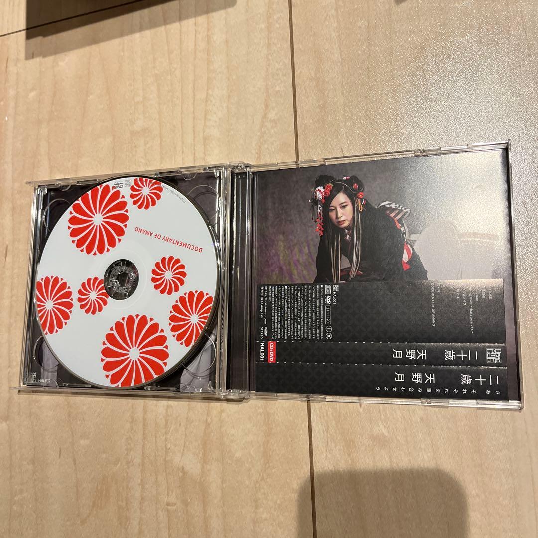 天野月　天野月子　二十歳　20周年記念CD DVD付限定版