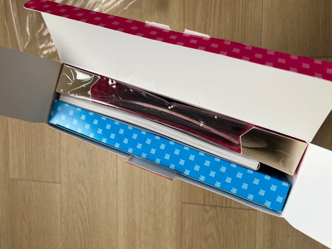 BiS うりゃおい‼︎! 愛しの愛DOLL BOXセット　コショージメグミ