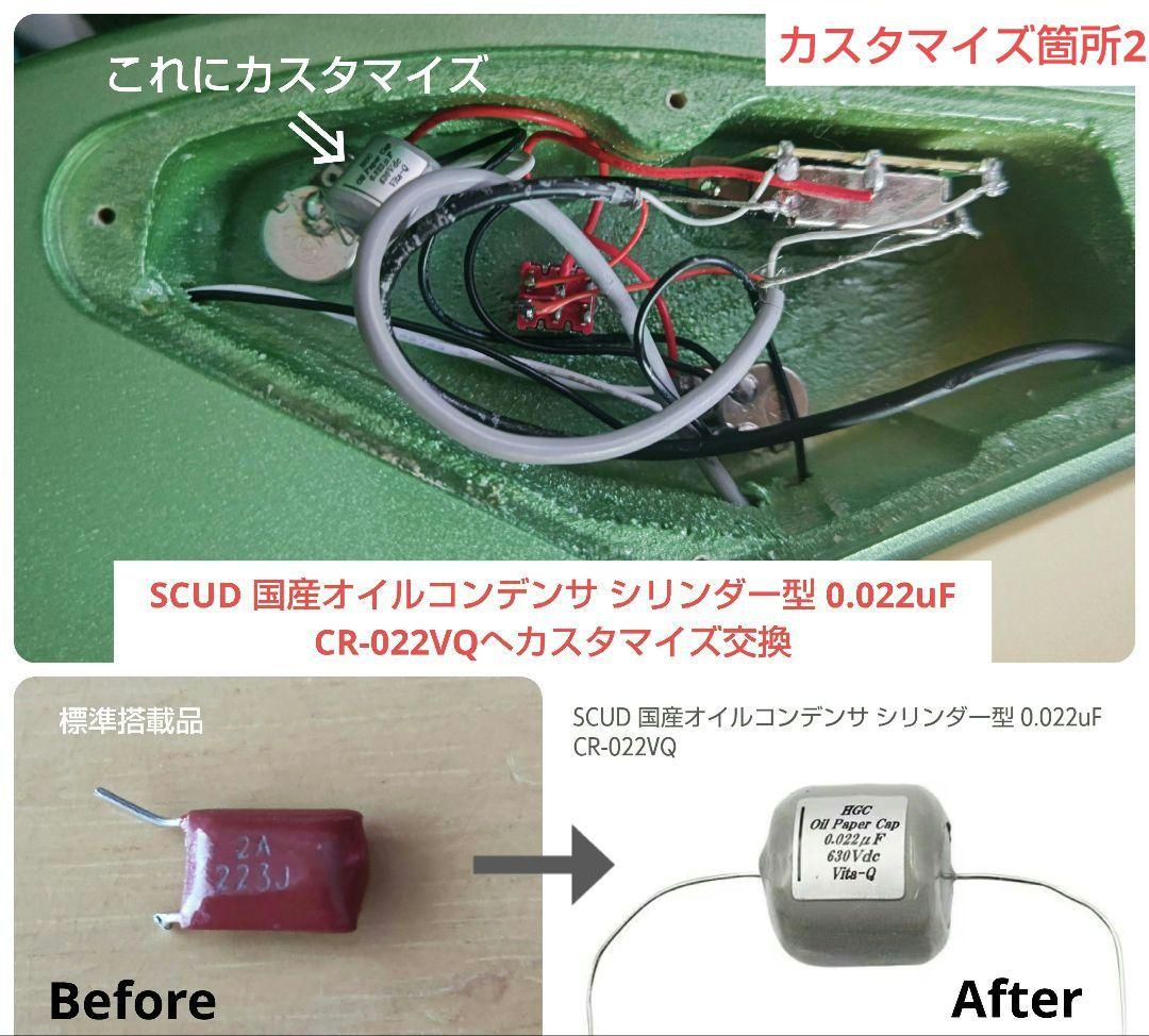 G*a様 Bacchus TAC24 STD-RSM/M-SFG(カスタマイズ品
