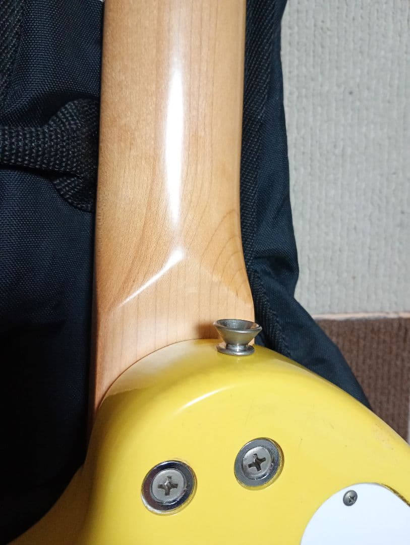 Fernandes ZO-3 ディストーションモデファイ