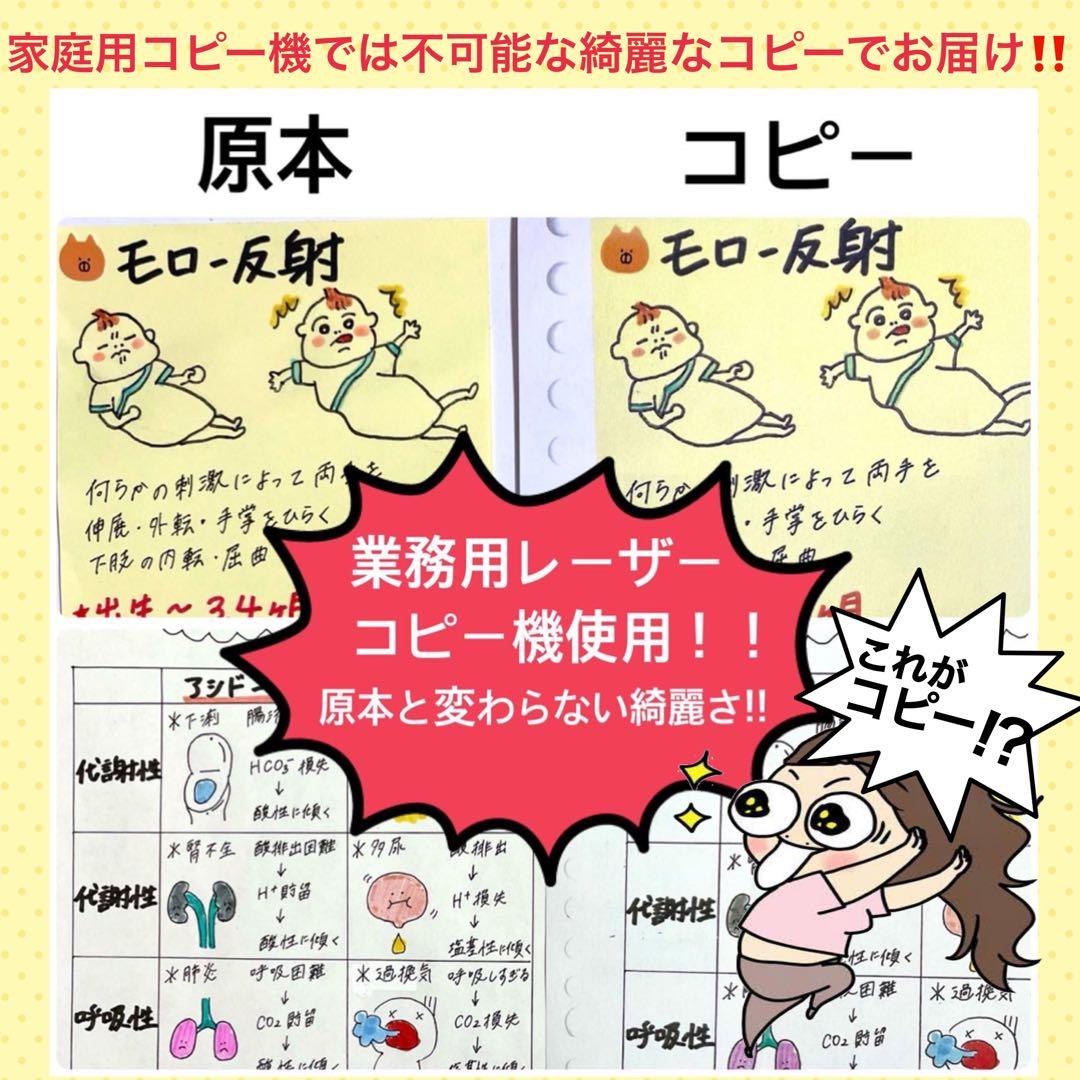 激安‼️ 看護師国家試験まとめノート 国試 解剖生理学 看護学生