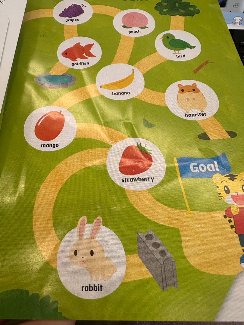 値下げしました★こどもちゃれんじすてっぷ English（年中さん向け）1年分