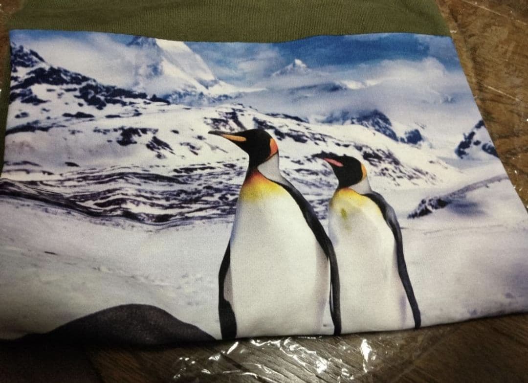 【美品】THE NORTH FACE Antarctica Tシャツ
