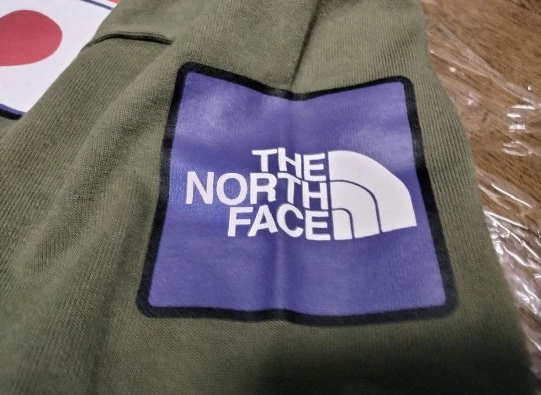 【美品】THE NORTH FACE Antarctica Tシャツ