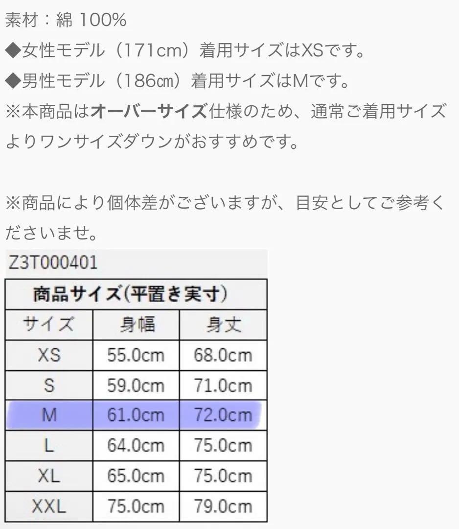 正規品 最新作 新品未使用 未開封 ZUMBA パステルコレクション TシャツM