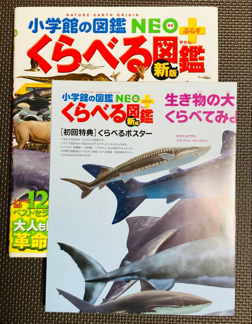 【付属品完備！特典3つ　付録1つ　DVD5つ】小学館&講談社　図鑑セット